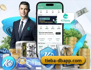 DB体育 APP